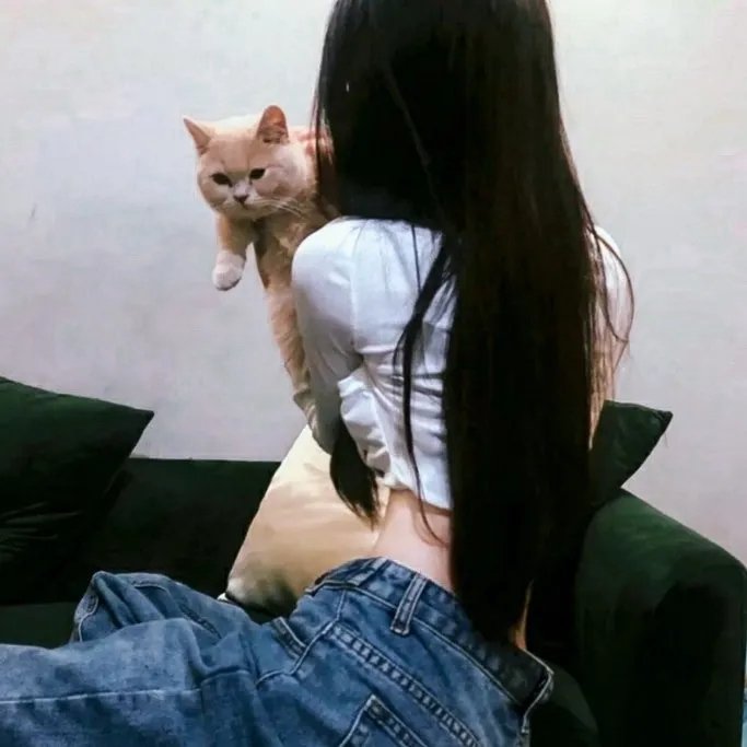 新版佐罗